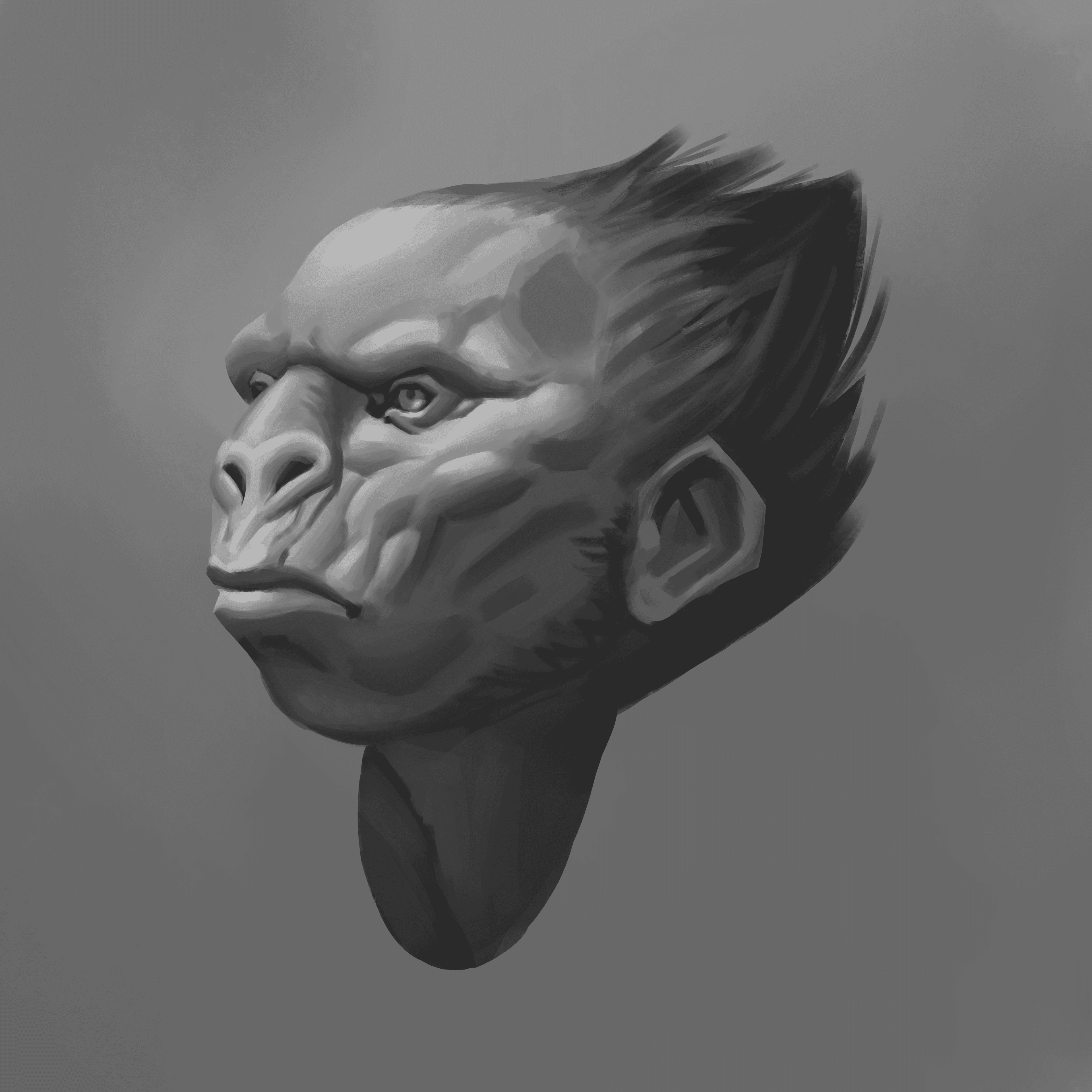 Study Johan Grenier 1